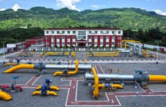 國壽壽險：助力鄉(xiāng)村振興  國有險企大有可為