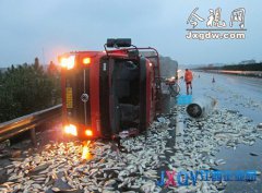 上饒：運魚車高速側(cè)翻 9噸鮮魚&ldquo;路上游&rdquo;