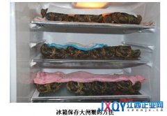 大閘蟹豐收季 小天鵝冰箱為&ldquo;吃貨&rdquo;增新鮮
