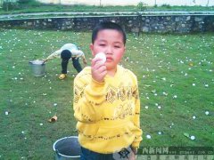 廣西部分地方遭冰雹襲擊 數(shù)百民房受損(圖)