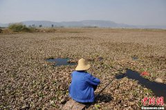 云南發(fā)布干旱橙色預(yù)警 杞麓湖大面積干涸