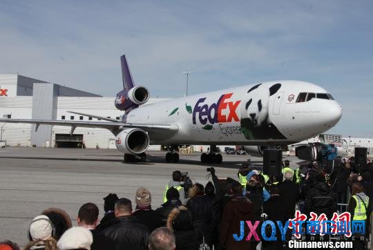 中國(guó)大熊貓抵加拿大 加總理夫婦赴機(jī)場(chǎng)迎接(圖)