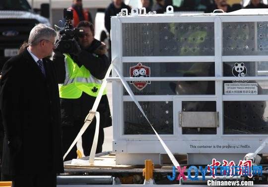 中國(guó)大熊貓抵加拿大 加總理夫婦赴機(jī)場(chǎng)迎接(圖)