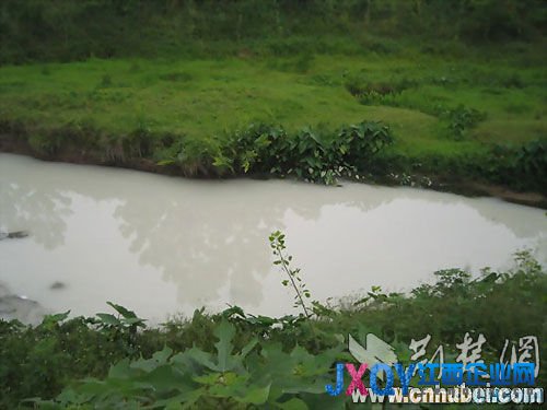 湖北麻溪河污染嚴重 網(wǎng)友請市長下河“喝牛奶”