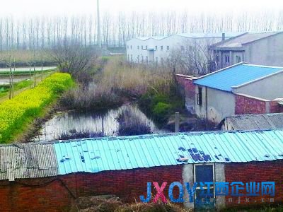 南京7污企搬遷前瘋狂排污:活魚(yú)入水10分鐘就死