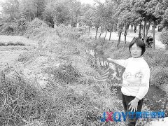 萬年縣一村支書盜伐公益林獲緩刑 鄉(xiāng)政府請他回