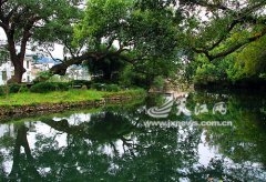 美麗村莊的鮮活樣本&mdash;&mdash;看上曉起村如何拓展生