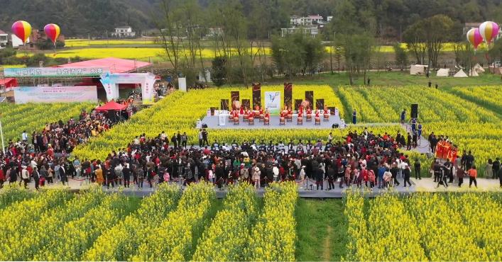 萬畝油菜花東橋盛開 引四方游客來踏春