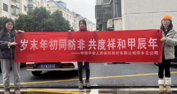 平安人壽萍鄉(xiāng)支公司開展2024年歲末年初防范非法集資宣傳教育活動