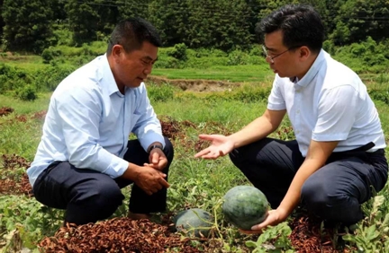 推動(dòng)&ldquo;百千萬(wàn)工程&rdquo;落地  國(guó)壽壽險(xiǎn)著力提升服務(wù)鄉(xiāng)村振興實(shí)效